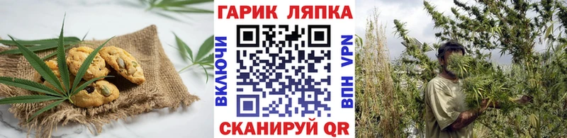 mega   наркота  Майкоп  Еда ТГК конопля 