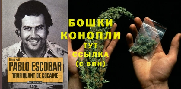 Альфа ПВП Аркадак