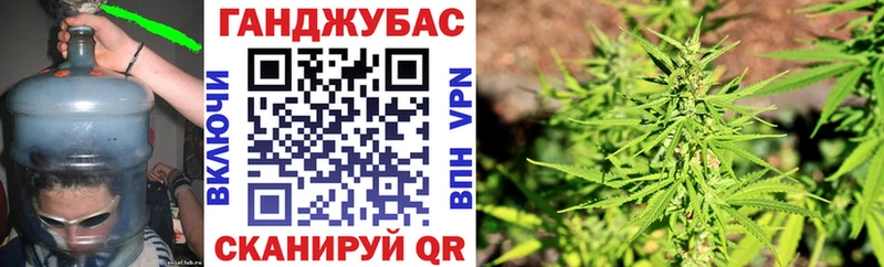 Марихуана индика  Майкоп 