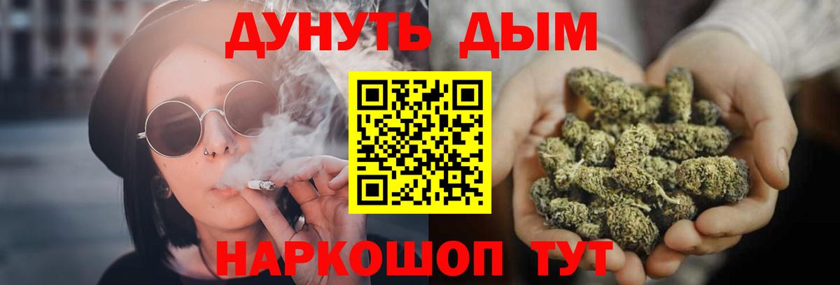 Конопля гибрид Майкоп
